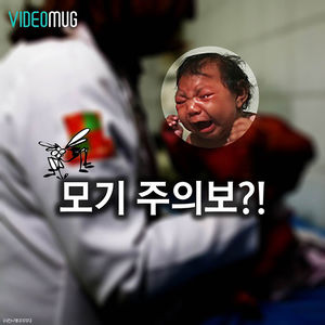 [비디오머그] "모기 있으면 소두증" 상상초월 공포&hellip;전 세계 '덜덜'