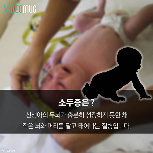 메인이미지  2 : 