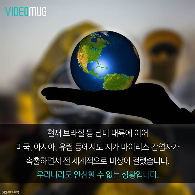 메인이미지  5 : 