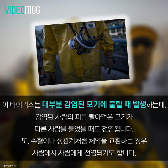 메인이미지  6 : 