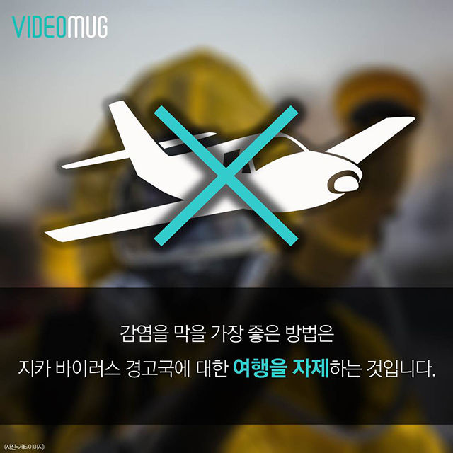 메인이미지  7 : 