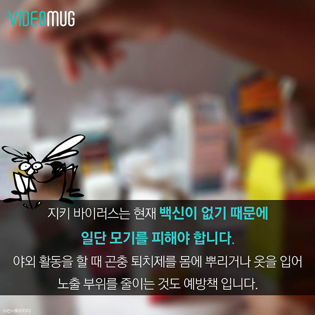 메인이미지  8 : 
