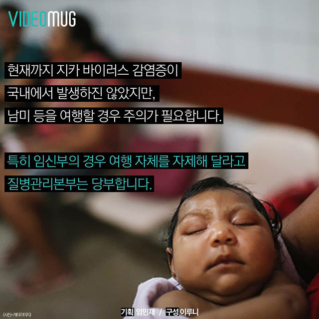 메인이미지  9 : 