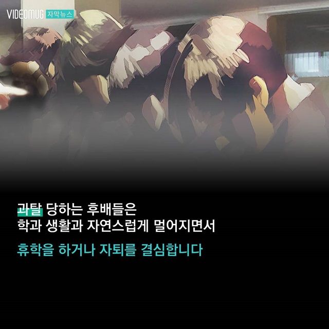 메인이미지  5 : 
