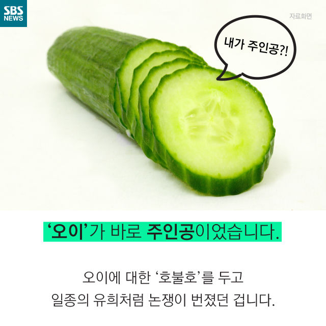 메인이미지  7 : 