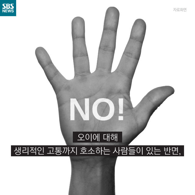 메인이미지  8 : 