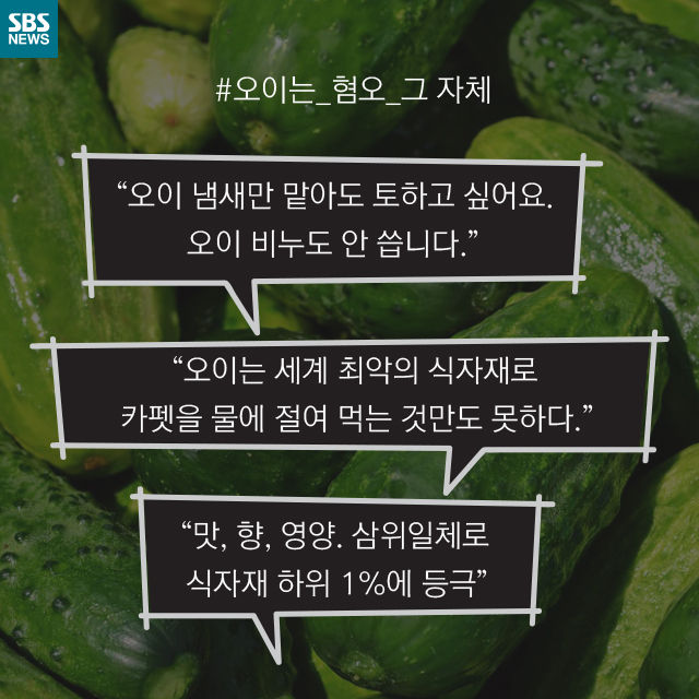 메인이미지  9 : 