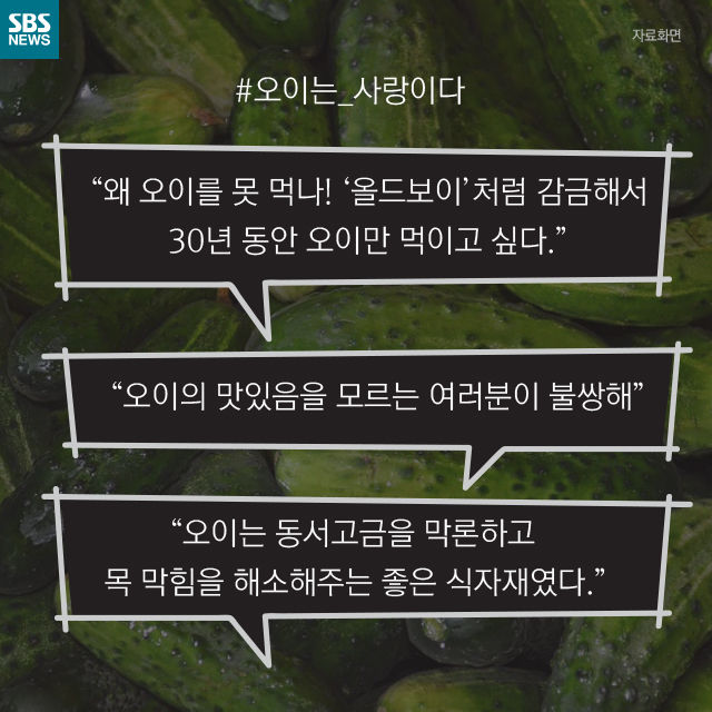 메인이미지  11 : 
