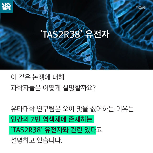 메인이미지  12 : 