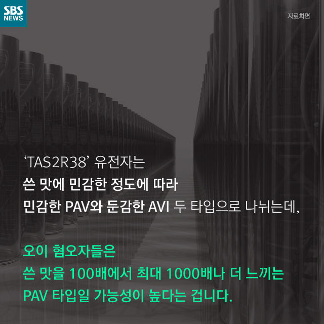메인이미지  13 : 