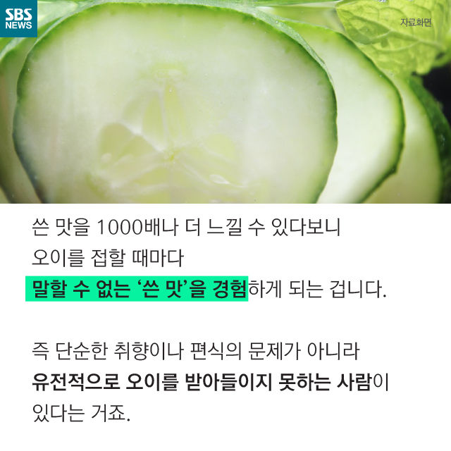 메인이미지  14 : 