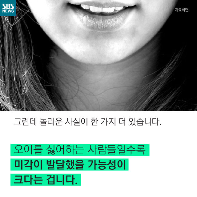 메인이미지  15 : 
