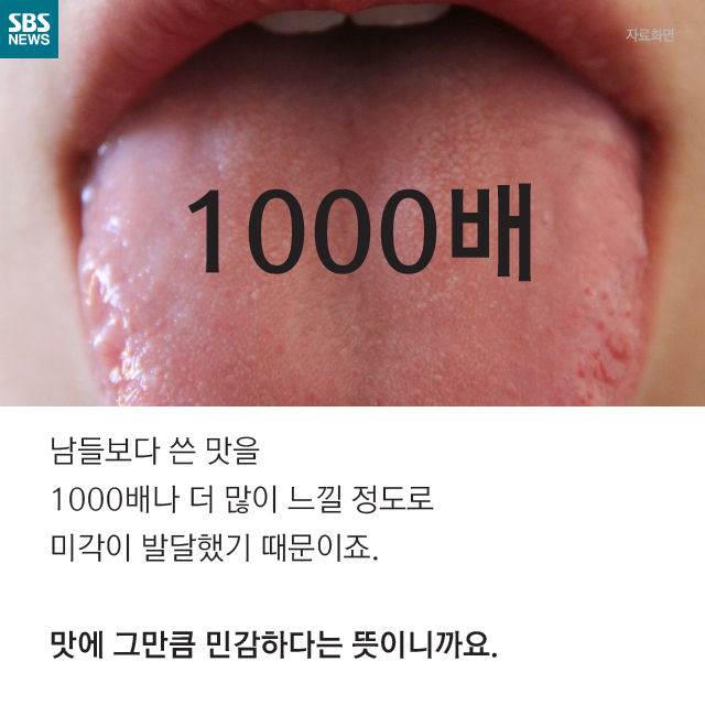 메인이미지  16 : 