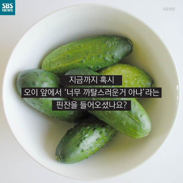 메인이미지  17 : 