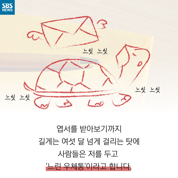 메인이미지  4 : 
