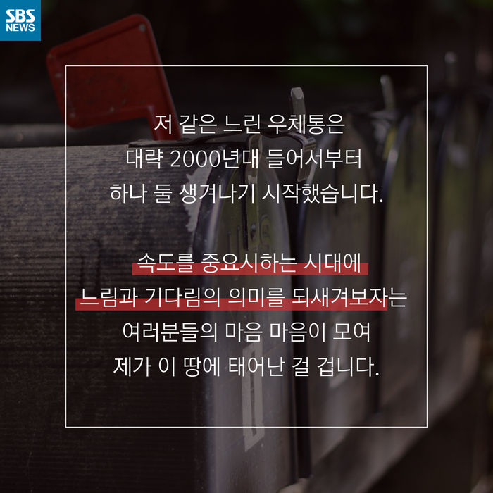 메인이미지  11 : 