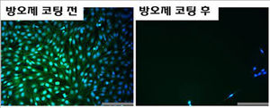 홍합 접착&middot;오징어 빨판 구조 이용한 오염방지 물질 개발