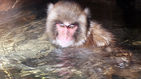 섬네일이미지  4:
