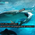 섬네일이미지  2:
