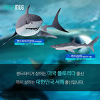 섬네일이미지  3: