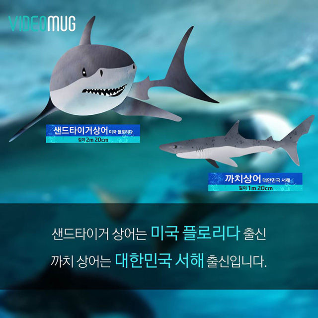 메인이미지  3 : 
