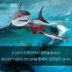 섬네일이미지  4: