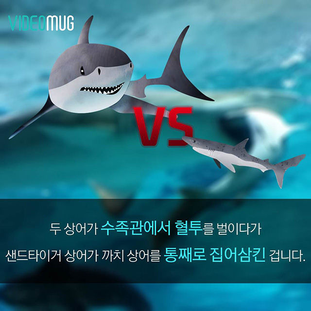 메인이미지  4 : 