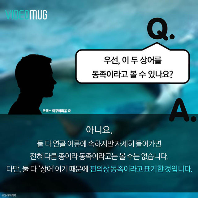 메인이미지  6 : 