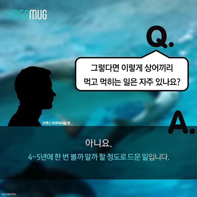 메인이미지  7 : 