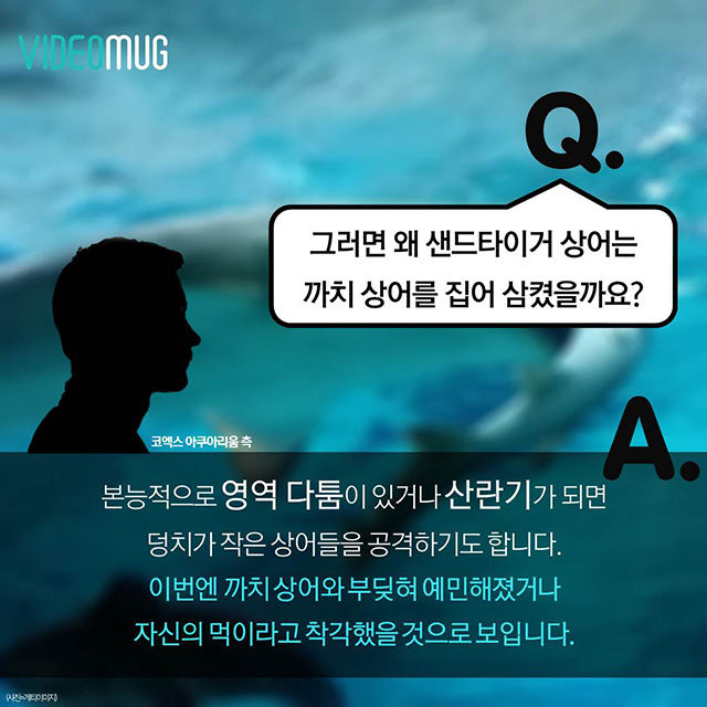 메인이미지  8 : 