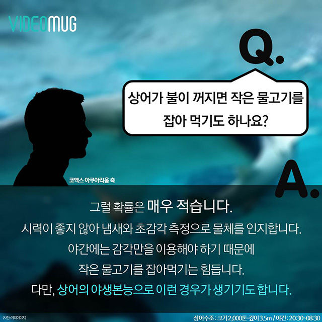 메인이미지  9 : 