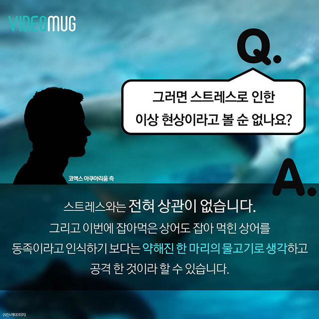 메인이미지  10 : 
