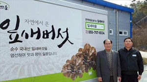 진주 버섯 중동에 10㎏ 수출&hellip;"경남창조센터 지원"