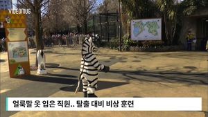 [비디오머그] "얼룩말 잡아라"&hellip;日 동물원서 이색 비상 훈련