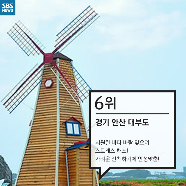 메인이미지  7 : 
