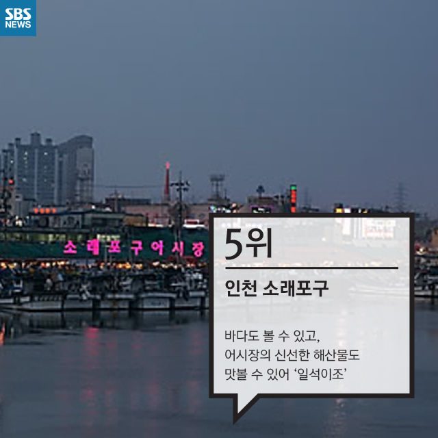 메인이미지  6 : 