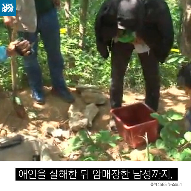 메인이미지  5 : 