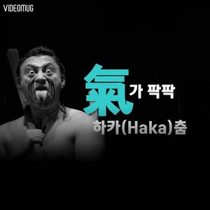 [비디오머그] '氣가 팍팍' 하카(Haka) 춤!