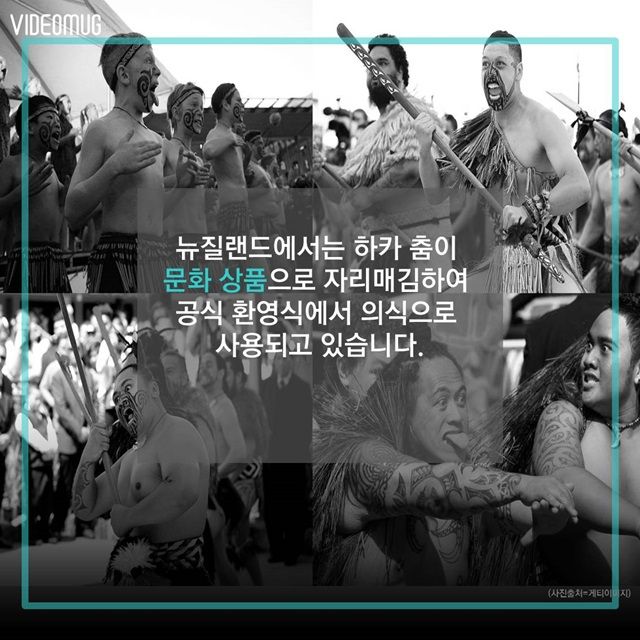 메인이미지  6 : 
