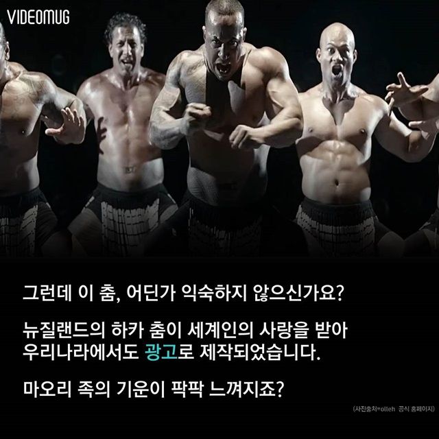 메인이미지  7 : 