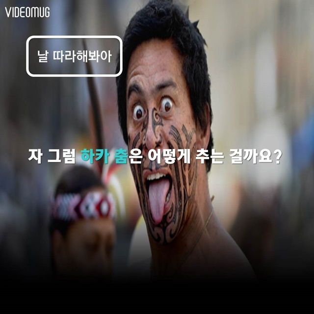 메인이미지  8 : 