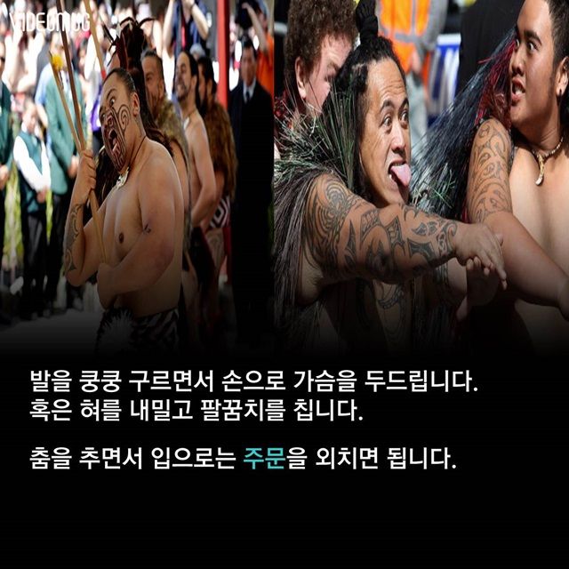 메인이미지  9 : 