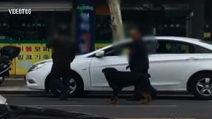 [비디오머그] 마약 취해 보복운전&hellip;사냥개 풀어 위협까지
