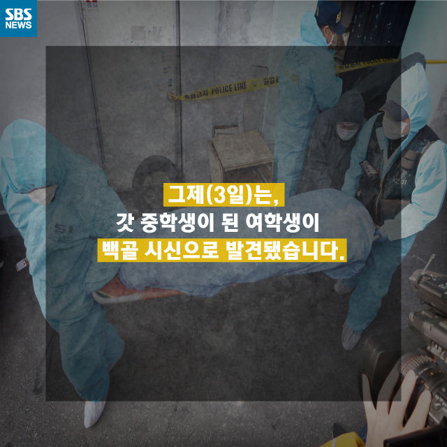 메인이미지  6 : 