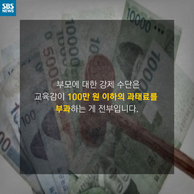 메인이미지  12 : 