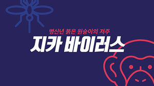 비디오머그 인사이트 - 지카바이러스