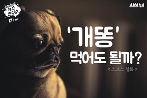 '개똥', 정말 먹어도 될까요?