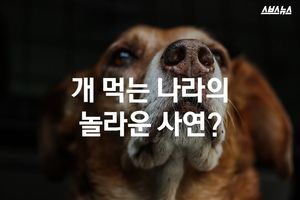개 먹는 나라의 놀라운 사연