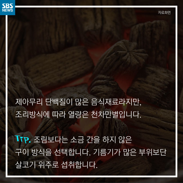 메인이미지  9 : 