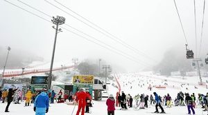 연휴 맞아 스키장 북적&hellip;하이원리조트 4천 5백명 찾아